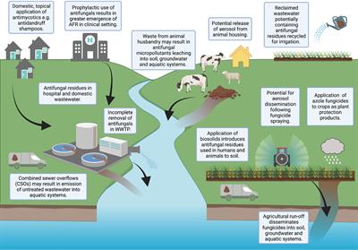 Antifungal Exposure and Resistance Development: Defining Minimal Selective Antifungal Concentrations and Testing Methodologies